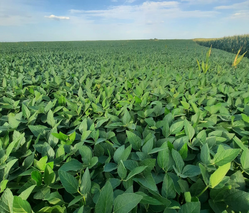 Soluciones integrales para negocios agropecuarios