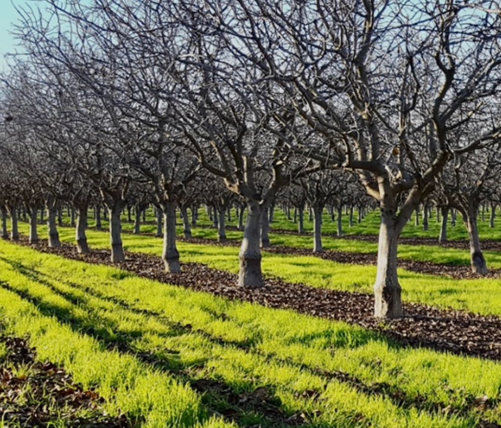 Innovación y eficiencia
